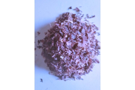 dulse